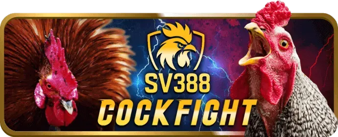 Tổng quan chương trình VIP fo88 nhà cái